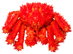 Red Alaskan King
